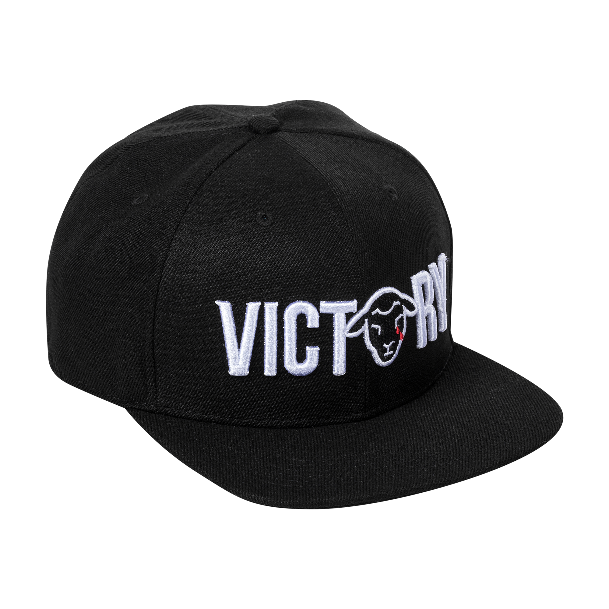 VICTORY Snapback Hat